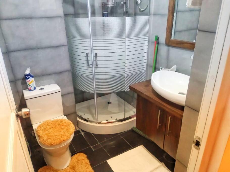 Lotus View Apartemen *